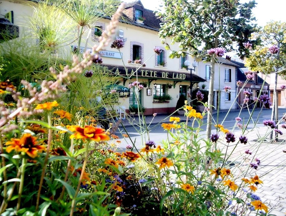 Logis Auberge A La Tete De Lard La Ferté-Imbault Zewnętrze zdjęcie